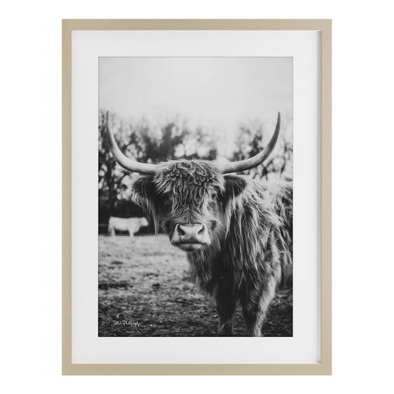 Stupell Industries Farmhouse Peering Highland Cattle Birch Framed Print Under Glass, 14 x 20, by Dakota Diener