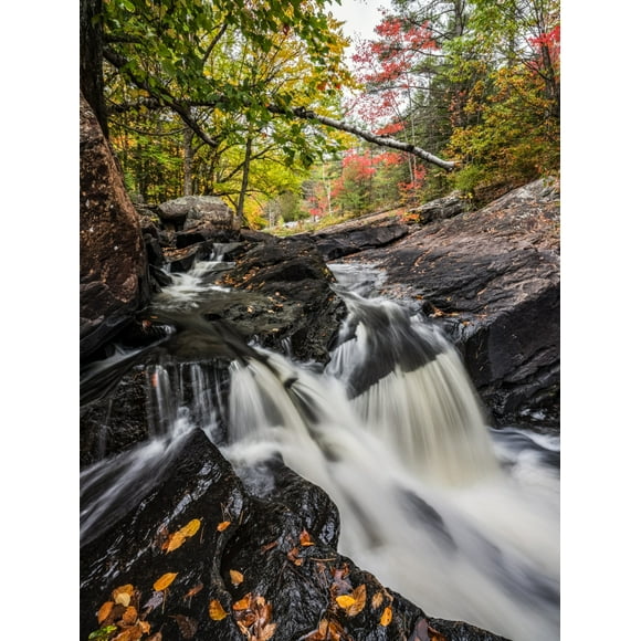 Water from the York River flowing over waterfalls during autumn in Algonquin Provincial Park; Ontario, Canada Poster Print by Robert Postma (13 x 18) # 13380922
