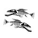 thumbnail image 4 of 2 pegatinas decorativas de espina de pescado para coche, fácil instalación. Negro, 4 of 8