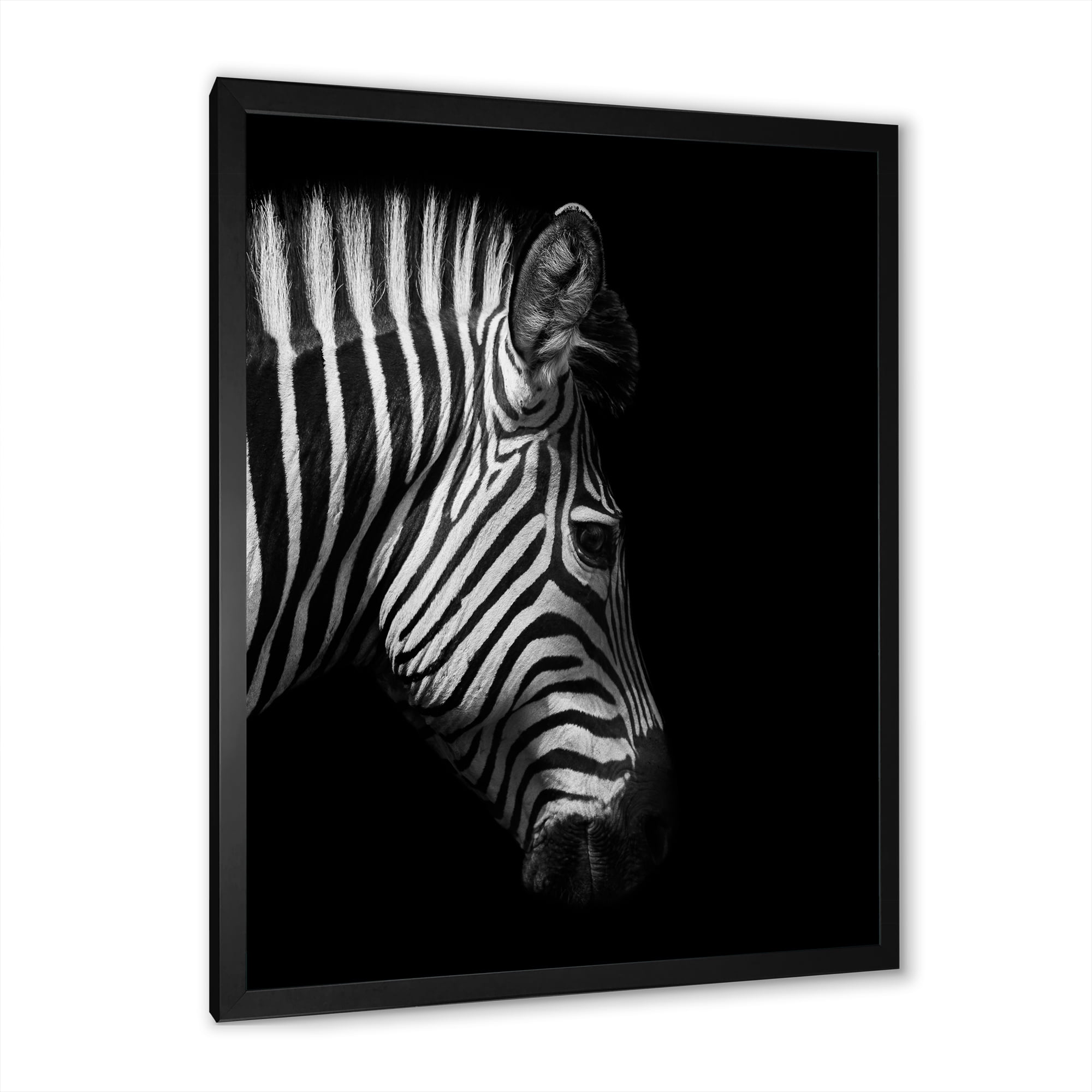 Designart 'Black and White Portrait of Zebra Head' Farmhouse Framed Art Print