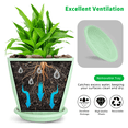 thumbnail image 2 of 6-Inch Plastic Plant Pots, 5-Pack Flower Pots with Drainage Holes & Saucers, Indoor Outdoor Planters for Garden & Home, Multicolor, 2 of 8