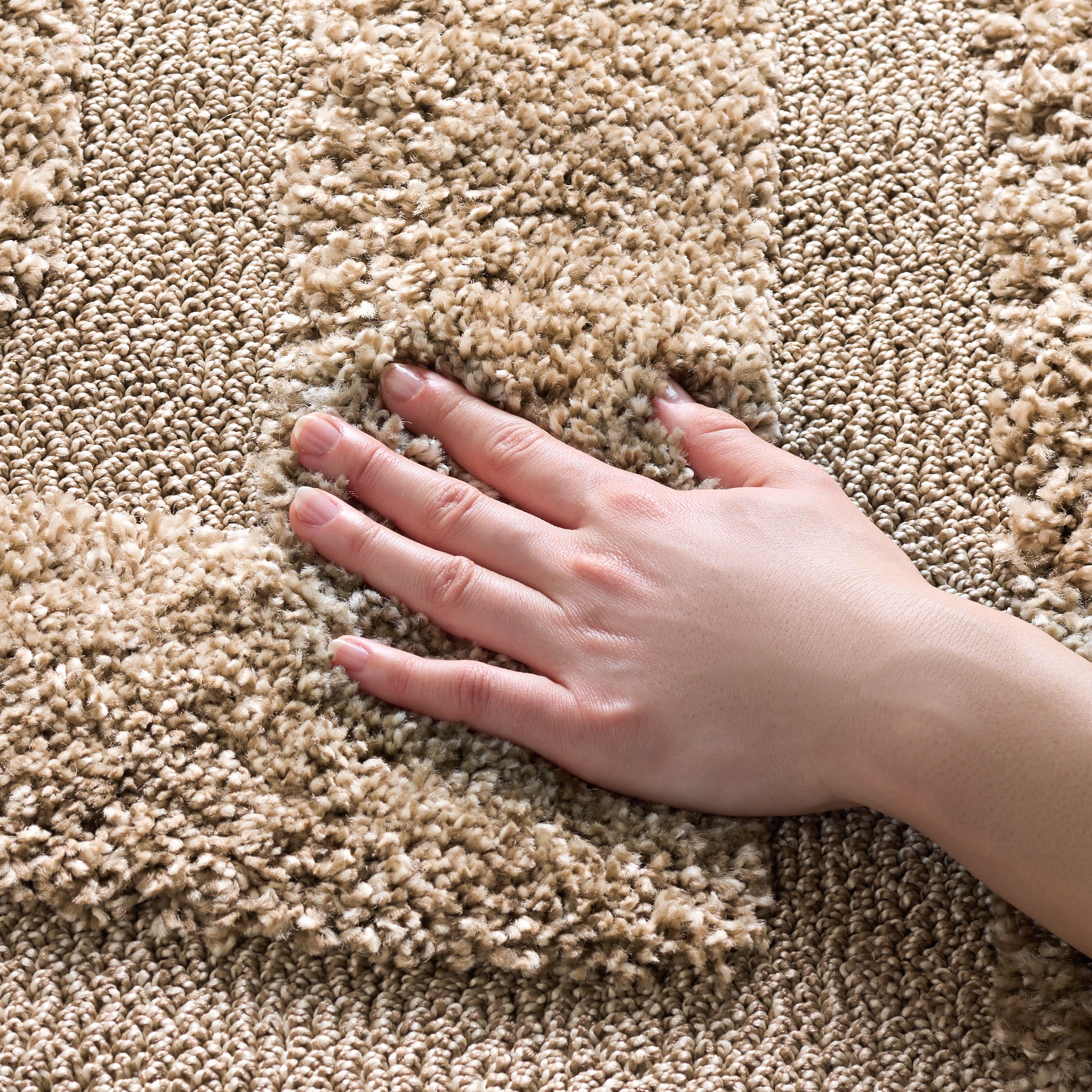 SAFAVIEH Florida Mason Bordered Shag Area Rug, Beige, 2' x 3'