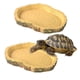 thumbnail image 4 of Soporte de madera para tortugas con comedero integrado y bebedero automático para y, 4 of 6