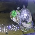 thumbnail image 3 of Flmtop Aquarium Resin Reptile Turtle Tortoise Terrace Hole Cave Rock Fish Tank Decor Grey, 3 of 8