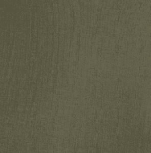 Deep Lichen Green