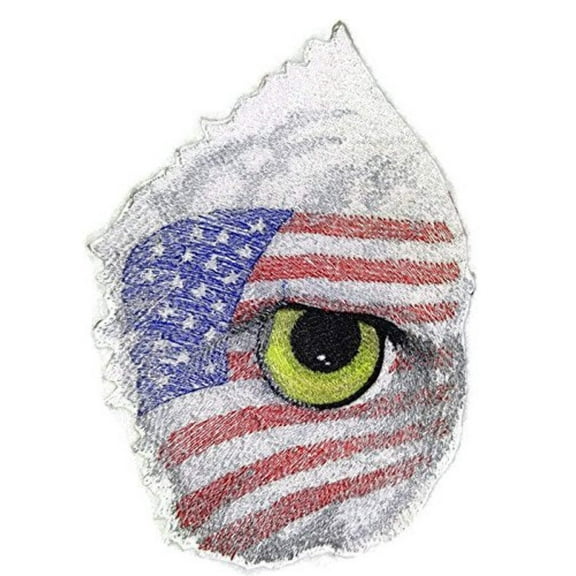 Eye Of The American Eagle Embroidered Iron on/Sew patch 7"9 X 3.7"]