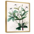 thumbnail image 3 of Designart 'Ancient Plant Life XXI' Traditional Framed Canvas Wall Art Print, 3 of 5