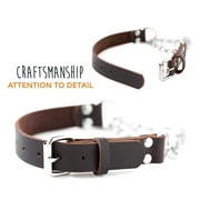 Mighty Paw Leather Training Collar, Martingale Collar, Stainless Steel Chain - Limited Chain Cinch Collar