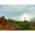 thumbnail image 2 of Tenoever, William 24x19 Black Ornate Wood Framed with Double Matting Museum Art Print Titled - Desert Scape 14, 2 of 4