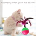 thumbnail image 4 of Feelers cat toy tumbler, feather Cat Toy for cat Kitten Indoor Exercise, cat Interactive Ball Toys, 3 PCS, 4 of 4