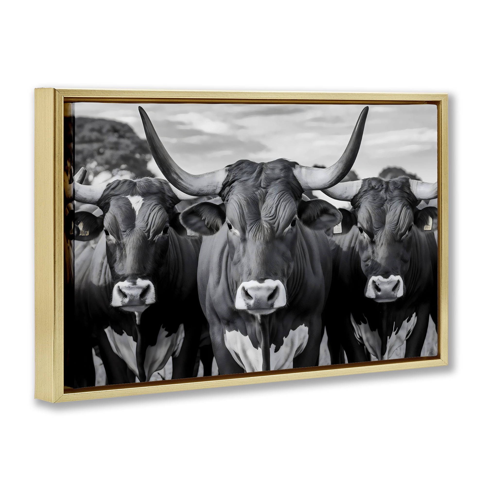 Stupell Industries Three Longhorns in a Row Gold Framed Floater Canvas Wall Art, design by Creative Studio