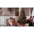 thumbnail image 6 of National Plant Network Real Fraser Fir 5' Tall Fresh Cut Christmas Tree, 6 of 7