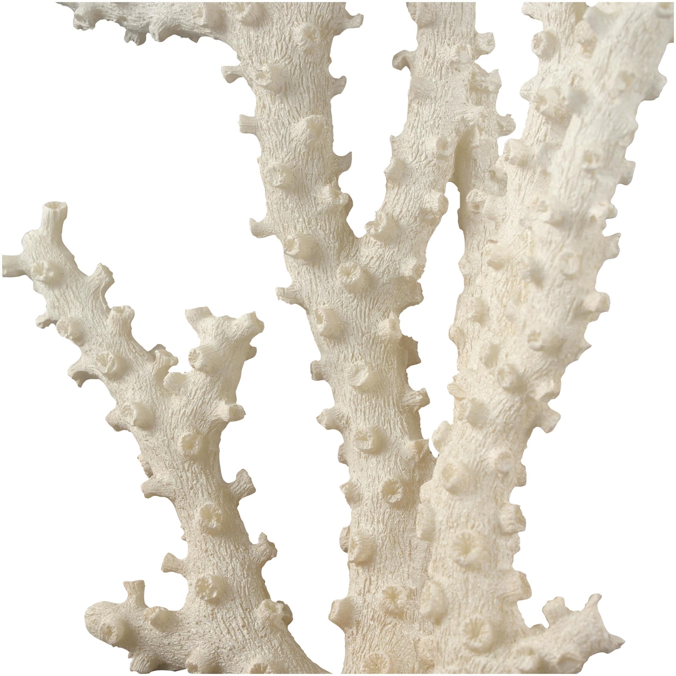 9" x 14" Cream Polystone Coral Sculpture with Clear Acrylic Base, by DecMode