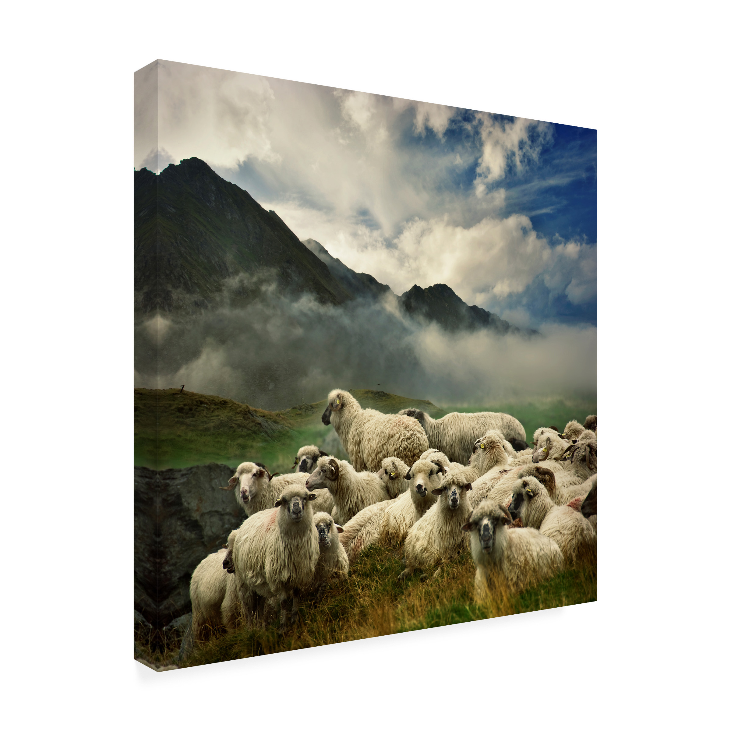 Istvan Kadar 'The Silence Of The Lambs' Canvas Art