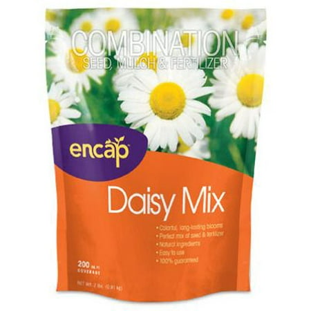 Multi Daisy Flower - Encap 10808-6 Daisy Flower Mix