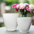 thumbnail image 7 of Isla Ceramic Tall Oval Pot (Set of 2), 7 of 7