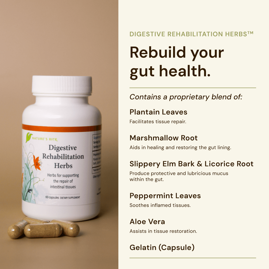 Nature’s Rite Digestive Rehabilitation Herbs with Digestive Enzymes, All-Natural Herbal Digestive Support, Fast-Acting Formula, 60 Capsules