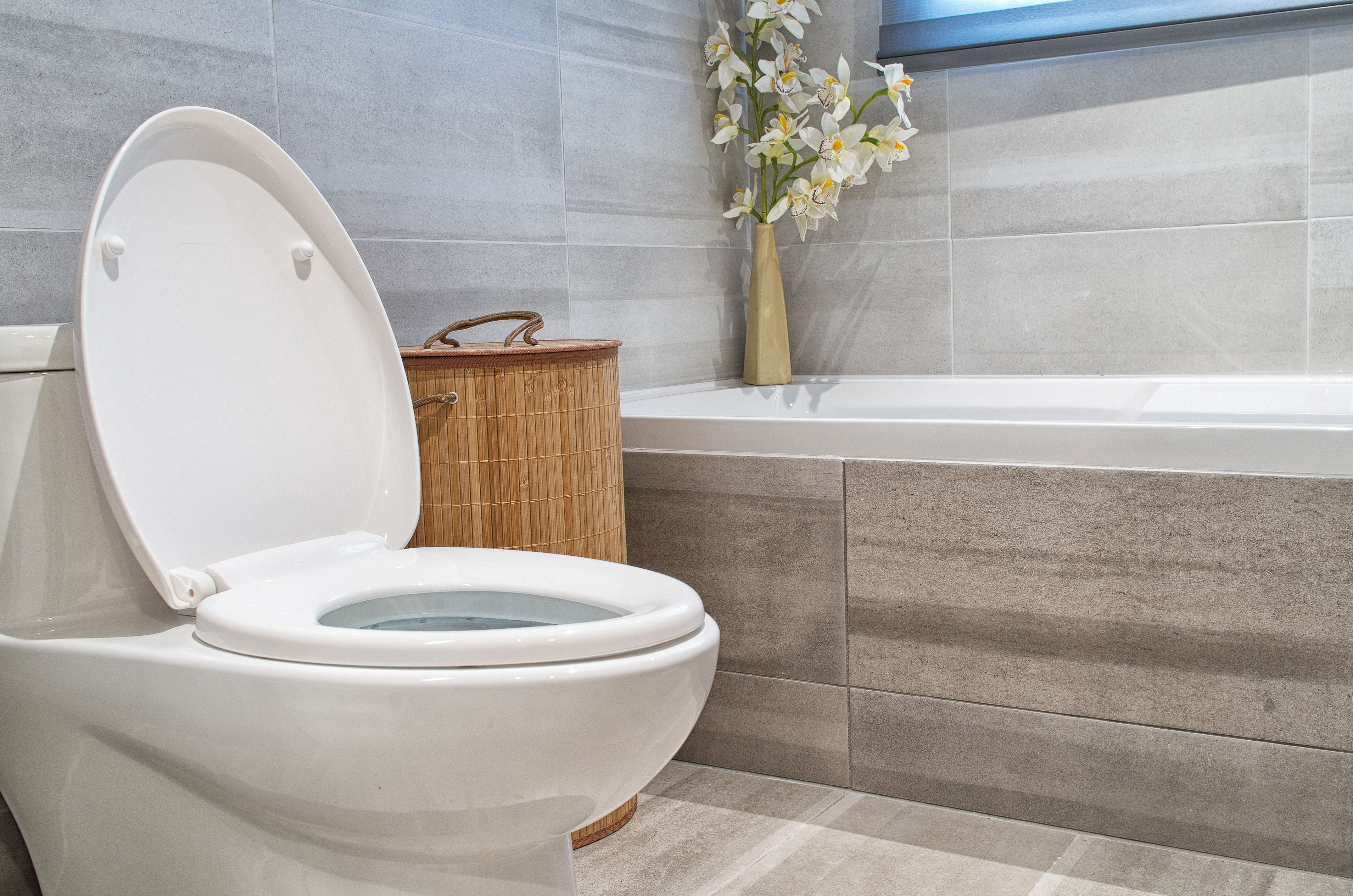 Dream Bath Beveled Edge Heavy Duty Round Toilet Seat with non-slip seat and quick-attach easy install hardware, MDF Red