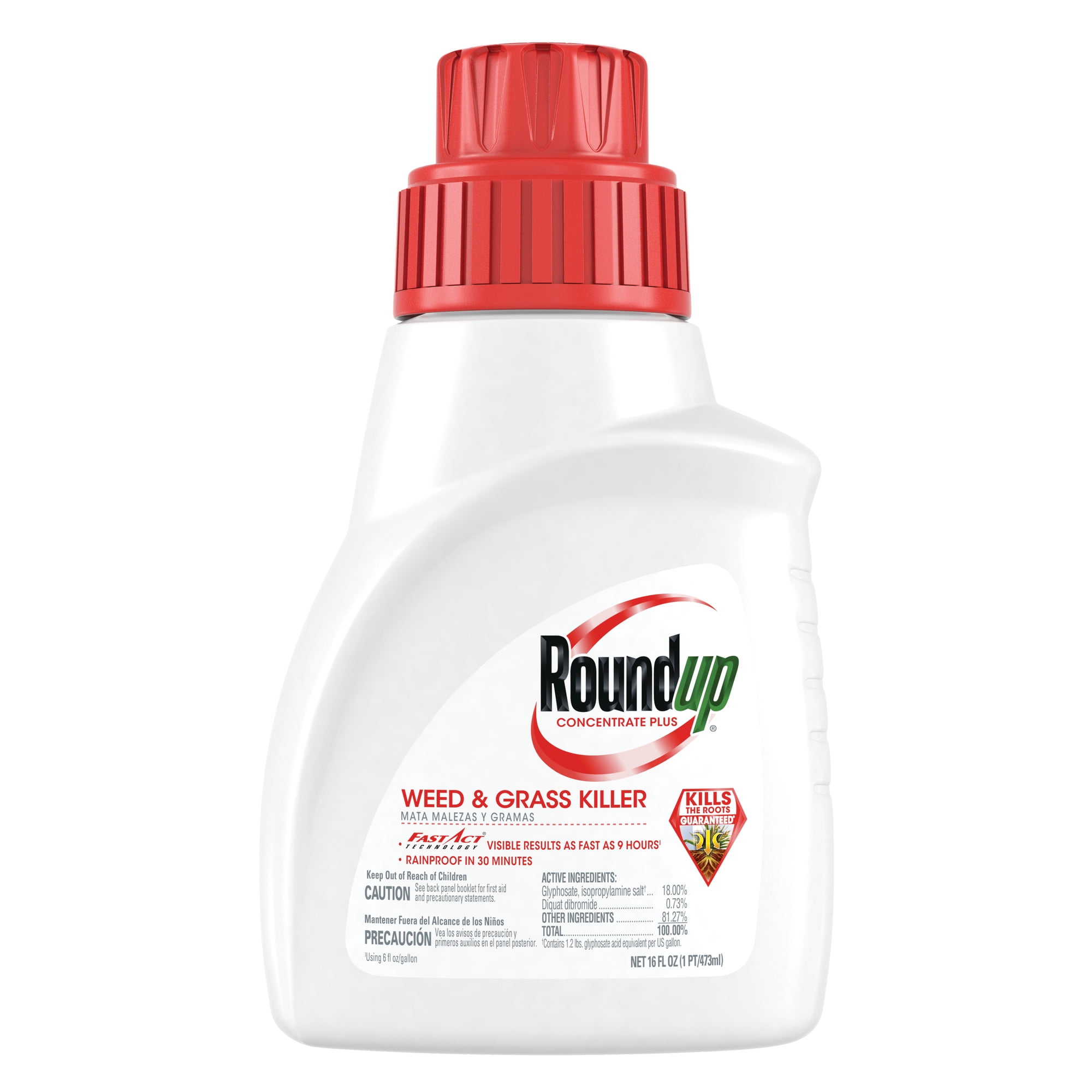 Roundup Concentrate Plus Weed and Grass Killer, 16 oz.