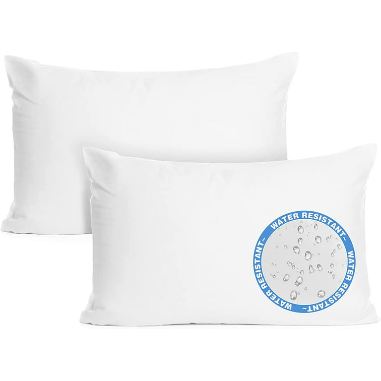 Acanva Throw Pillow Inserts Soft Couch Stuffer Hypoallergenic Polyester  Square Form Washable Cushion Euro Sham Filler, 20''-2P, White, 2 Count  (Pack