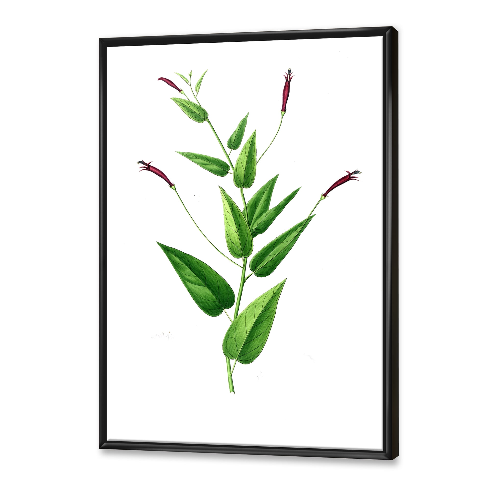 Designart 'Ancient London Plants VII' Traditional Framed Canvas Wall Art Print