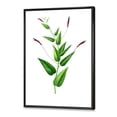 thumbnail image 3 of Designart 'Ancient London Plants VII' Traditional Framed Canvas Wall Art Print, 3 of 5