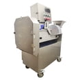 thumbnail image 6 of Techtongda Fruit and Vegetable Slicing Shredding Dicing Double Head Variable Frequency Vegetable Cutter, 6 of 13