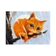 thumbnail image 1 of de Bricoje 5D Diamante Pintura Animal Natural Rhinestone - Gato de nieve Soledad Kit de pintura de diamantes, 1 of 5