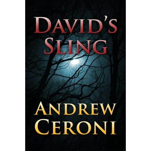 David's Sling (Paperback)