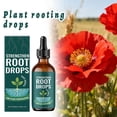 Plant Rooting Drops for Faster Root Growth, Liquid Root Stimulator for ...