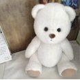 thumbnail image 1 of Osito de peluche hecho a mano, juguete de peluche que cambia de vestido, bolsa de miel, muñeca de peluche de tela para niña, regalo de Navidad para niños, solo muñeca sin tela, oso blanco, solo muñe, 1 of 5