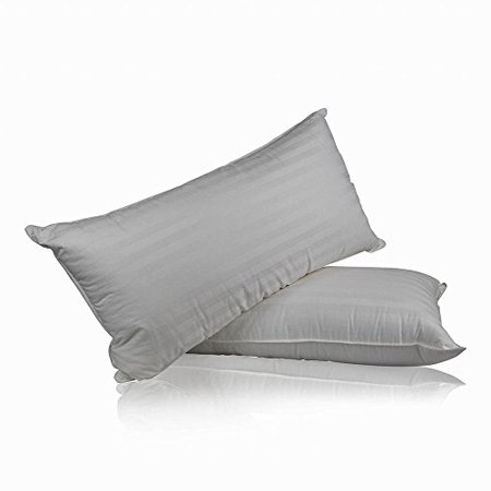 Set Of 2 Superior 100 Hungarian Goose Down 700 Fill Power