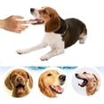 thumbnail image 4 of Whataatahia Cepillos de dientes para perros, cepillos de dientes para mascotas, cepillos para el cuidado dental, cepillos de dientes de silicona natural para perros y gatos, 4 of 6