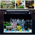 thumbnail image 3 of Spongebob Aquarium Decoration Betta Small Fish Tank Ornament, Set Of 3, 3 of 4