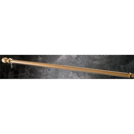 BSI Products 11115 Banner Pole with Plastic Sleeve