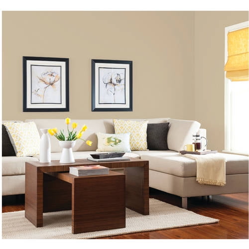 Glidden Pre Mixed Ready To Use Interior Paint And Primer Eggshell Glidden Pre Mixed Ready To Use Interior Paint And Primer Eggshell Finish Sahara Desert Sand 1 Gallon