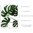 thumbnail image 2 of HAUS AND HUES Tropical Leaf Painting and Botanical Wall Art - Green Leaf Pictures and Leaf Prints Wall Art | Modern Botanical Prints Botanical Wall Decor Plant Pictures Wall Art UNFRAMED 12" x 16", 2 of 6