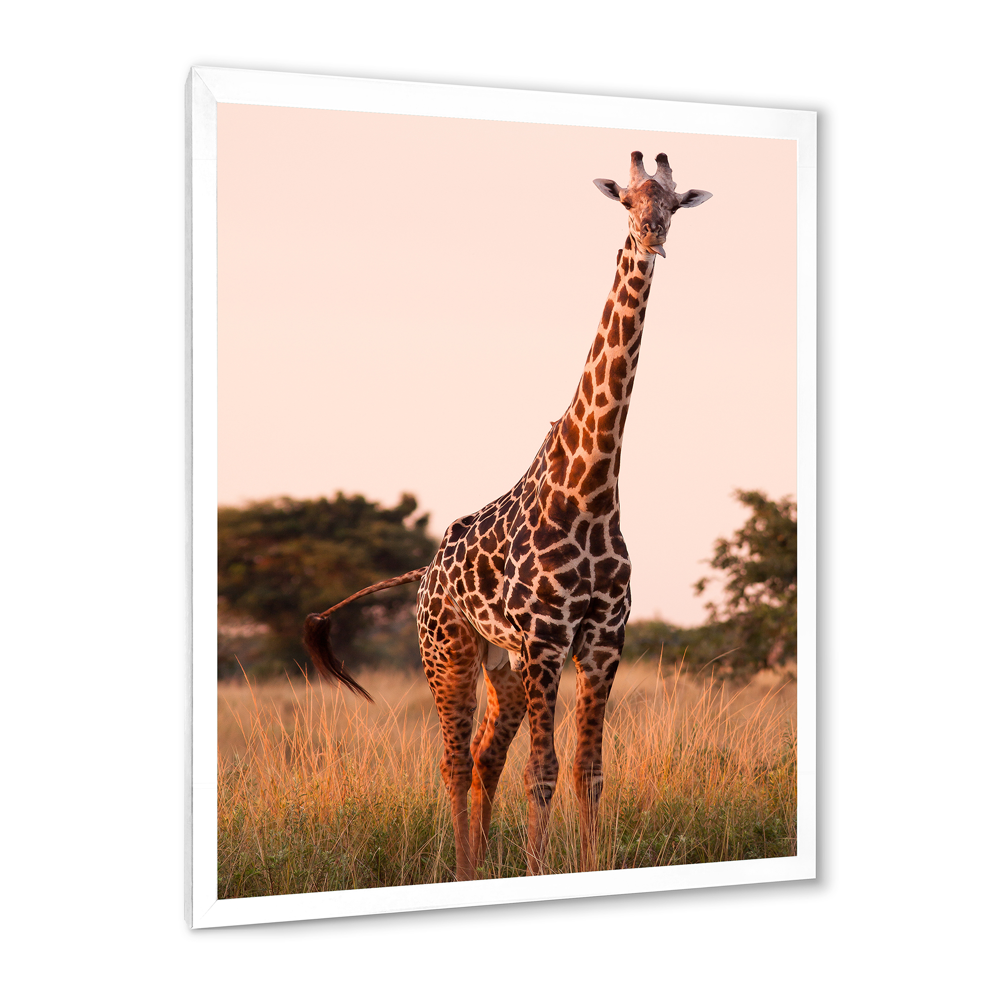 Designart 'African Giraffe In The Wildlife I' Farmhouse Framed Art Print