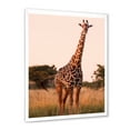 thumbnail image 2 of Designart 'African Giraffe In The Wildlife I' Farmhouse Framed Art Print, 2 of 4