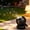 Black-BK, variant on MMJ Bubble Machine Rechargeable 7 Color LED Light Automatic Blower for Party Outdoor 42ml