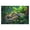 300, variant on Puzzles for Adults 300 Pieces - Snake Puzzle for Stress Relief and Leisure Holiday Gifts Home Decor Collectibles