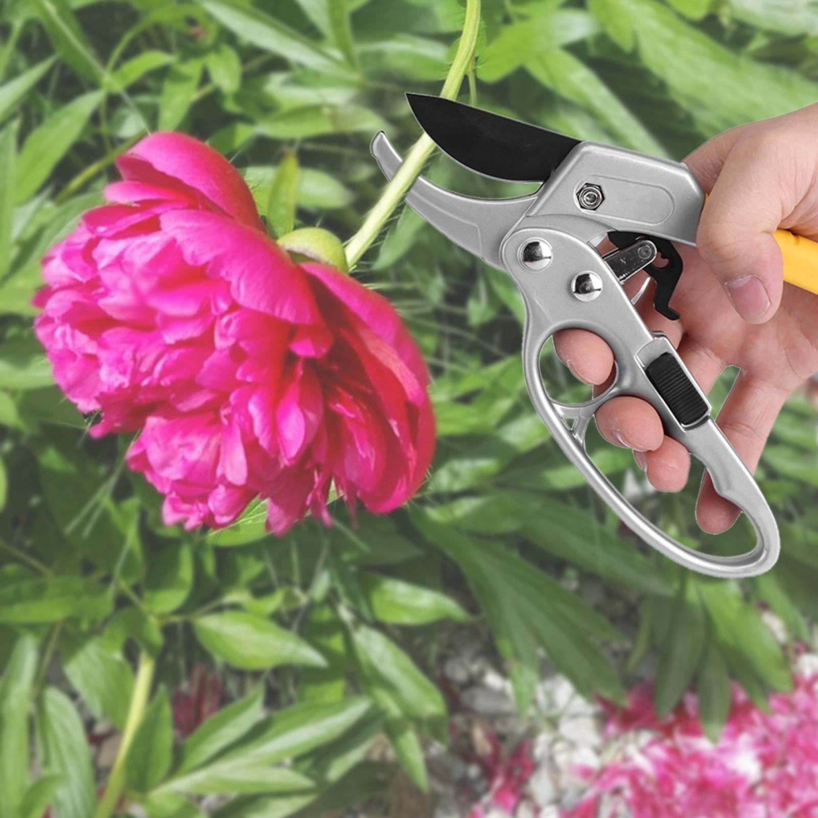 LHCER Pruning Shears Hand Pruners Garden Shear For Branches Stems Shrubs Garden Pruning Citrus