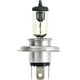 thumbnail image 2 of Bombilla para faros delanteros PHILIPS 9003 Vision Upgrade 30% More Vision, paquete de 2, 2 of 5
