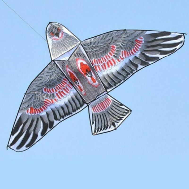Flat Eagle Kite Resin Rod Polyester Cloth 1.1m Children Outdoor Windsock Toys 