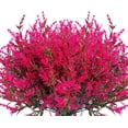 thumbnail image 2 of ZOELNIC 8PCS Artificial Lavender Flowers Faux UV Resistant Plastic Fake Flower for Indoor Outdoor Hanging Flowerpot Windows Home Decoration (Rose Red), 2 of 6