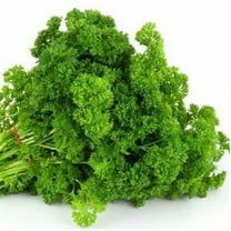 Parsley, Triple Curled Parsley Seeds, Heirloom Non GMO, 500 Seeds,Parsley Seeds, Heirloom, Non GMO,Parsley Seeds