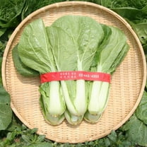Chinese Cabbage Seeds - Mansu - Hybrid - 2 g Packet ~548 Seeds - Non-GMO, F1 Hybrid - Asian Garden Vegetable