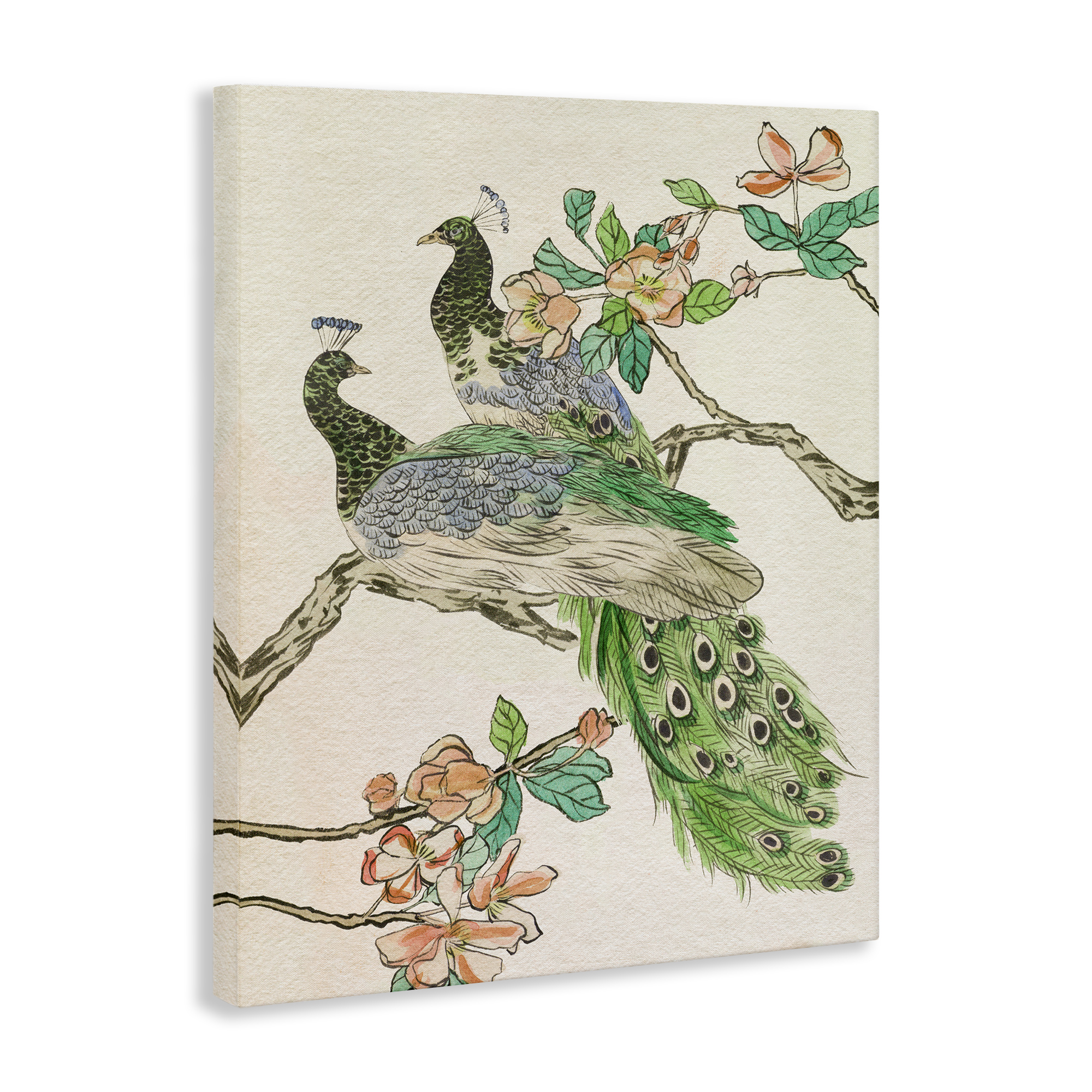 Stupell Industries Peacock Perched on Branch Animals & Insects Painting Gallery Wrapped Canvas Art Print Wall Art, 16 x 20