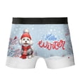 thumbnail image 2 of Hello Winter Maltese Smiling in Red Scarf Hat Welcome Christmas All Over Print Boxer Briefs Underwear for Men Dad Maltese Dog Lover Gifts Idea - 00017, 2 of 6