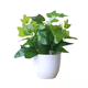 thumbnail image 4 of Planta de simulación en maceta, hoja de rosa verde, decoración de partición de boda, centro comercial de hojas, paisaje de árbol falso verde, césped, 4 of 4